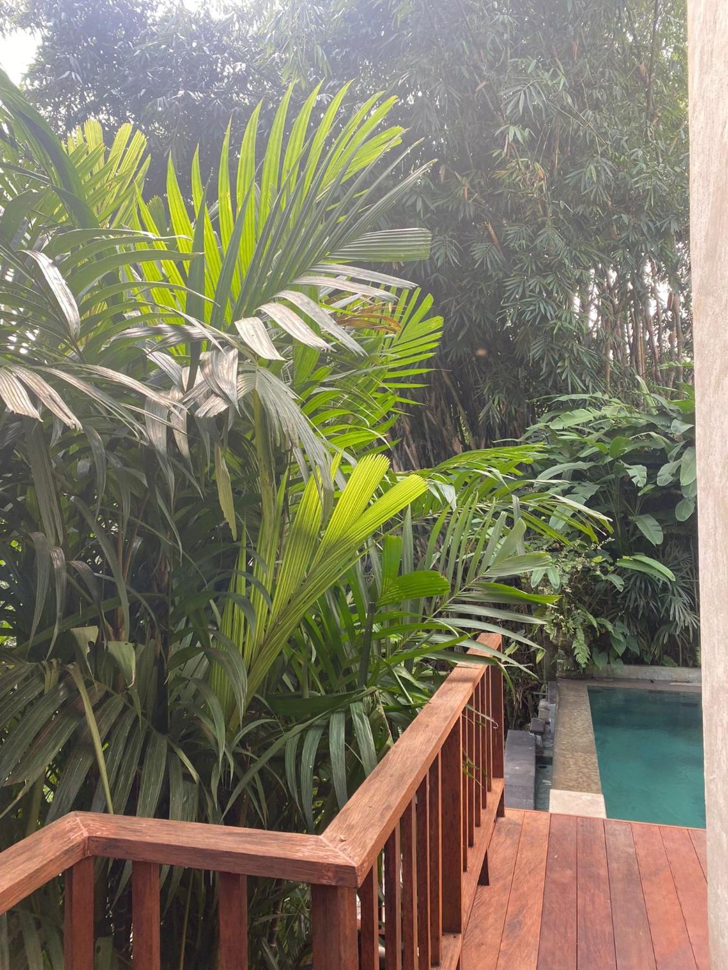 Villa Purnamasari Ubud Dış mekan fotoğraf